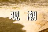 有關(guān)觀潮的導(dǎo)游詞(精選9篇)