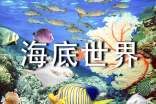 青島海底世界導(dǎo)游詞10篇