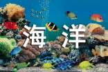 珠海海洋王國(guó)導(dǎo)游詞4篇