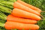常見(jiàn)的胡蘿卜的做法大全