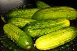 吃黃瓜的六個(gè)不宜