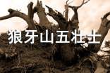 《狼牙山五壯士》讀書(shū)筆記(精選115篇)