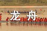 賽龍舟觀察日記300字