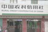 農村信用社改革工作情況調研報告