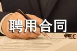 個(gè)人聘用合同15篇