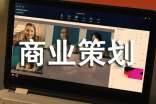 武術文化節(jié)商業(yè)策劃書范文