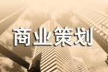 商業(yè)策劃書模板