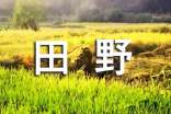鄉(xiāng)村的田野作文錦集15篇