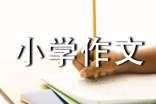 關(guān)于規(guī)則小學(xué)作文