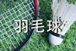 爸爸教我打羽毛球作文