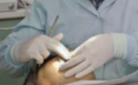 ������ֲ�С�W����