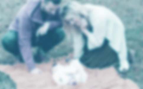 �ְ֋������ڼ�����550�֣�ͨ��25ƪ��