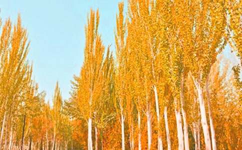 ��ͨԒ��ԇ?y��n)��x����:�ח�Yٝ