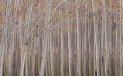 ��ͨԒ��ԇ�fԒ���ģ��ח�Yٝ