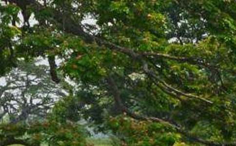 �ϼҵİח���һ����