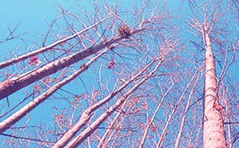 ��ͨԒ2015�꿼ԇ�fԒ���ģ��ח�Yٝ