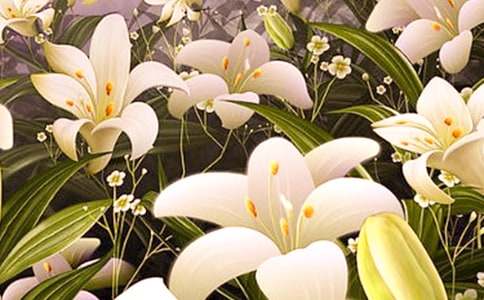 �ҵİٺϻ�����550��