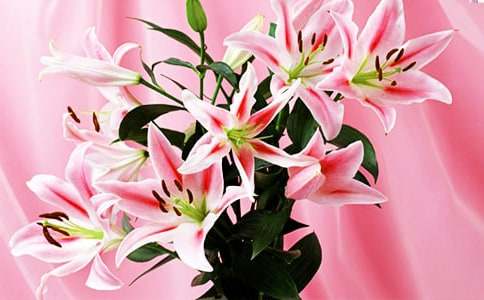 С�W(xu��)�����p�ٺϻ�������