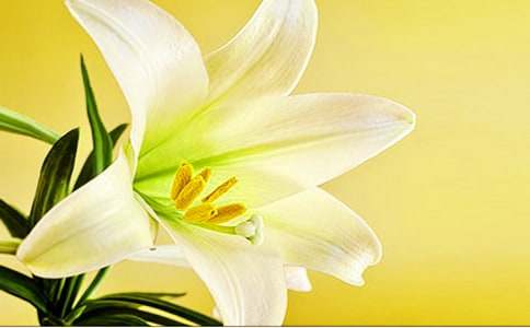 �P(gu��n)�ڰٺϻ����������ģ����x15ƪ��