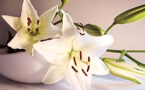 �Ҽҵİٺϻ�����500��