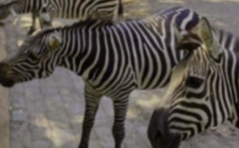 �P(gu��n)�ڰ��R��������4ƪ