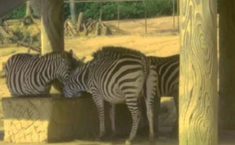 ���İ��R�����꼉����