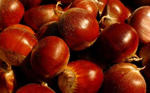 ��������500�ֳ���[10ƪ]