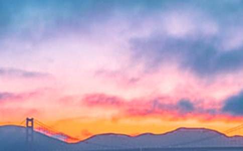 �P(gu��n)�ڰ�������������