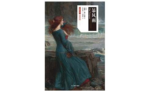 有關(guān)暴風(fēng)雨作文