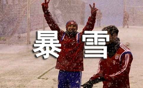 憤怒的暴雪