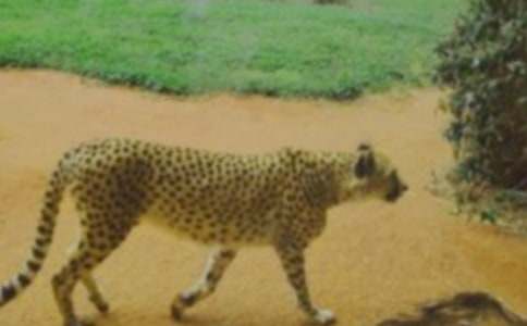 �R�ͱ������꼉����