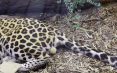 ��������500��