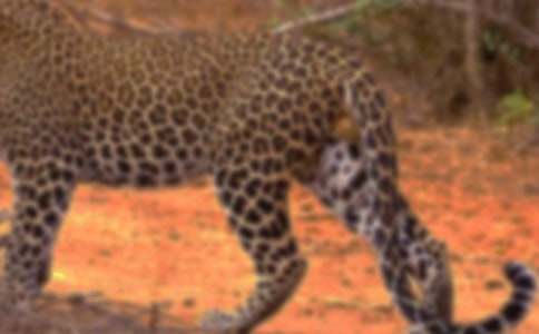 ����һ����������