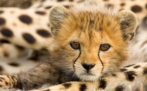 ����С�W(xu��)����