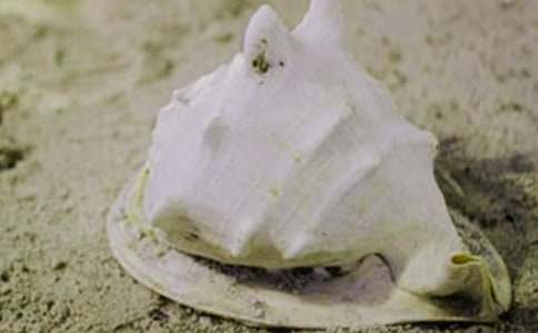 ؐ������300�֡���Ʒ��