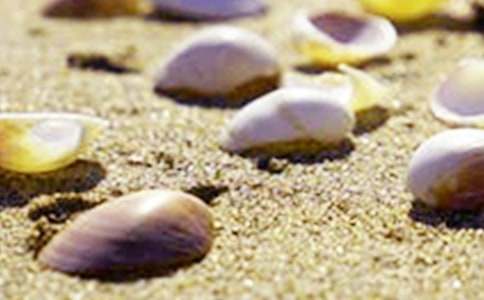 ؐ������300��[ͨ��]