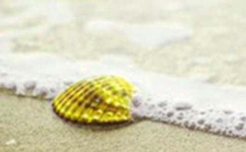 關(guān)于貝殼為話題的作文