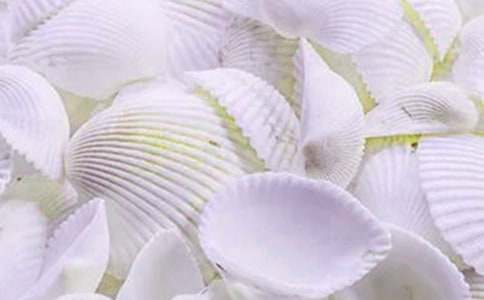 以貝殼話題的作文