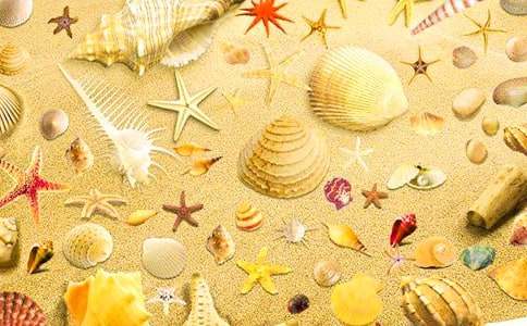 (���A)ؐ������