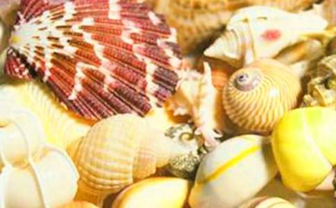 (經(jīng)典)貝殼話題作文