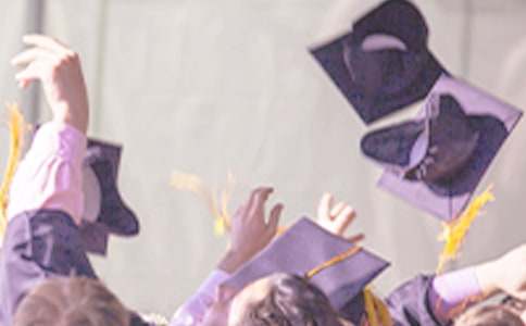 �W(w��ng)�j(lu��)���g(sh��)���I(y��)��W(xu��)���I(y��)�����u(p��ng)