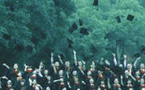 �W(w��ng)��O(sh��)Ӌ(j��)�T���I(y��)��(sh��)��(x��)���Y(ji��)����