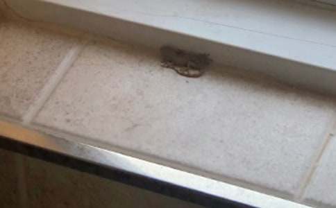 �ڻ��^��ӛ����