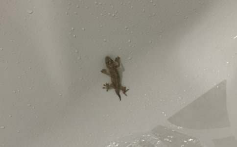 �^��ڻ�����3ƪ