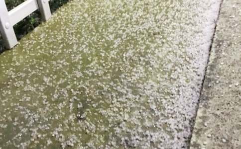 【精華】冰雹作文300字25篇