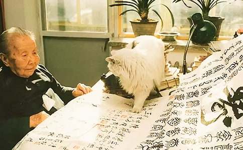 一片冰心在玉壺全詩