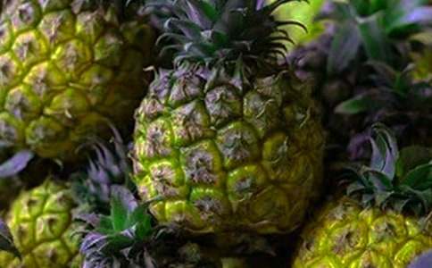 菠蘿的自述(作文)