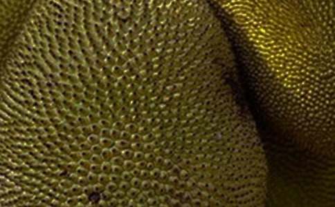 ���}�ۘ����ģ�ͨ��5ƪ��