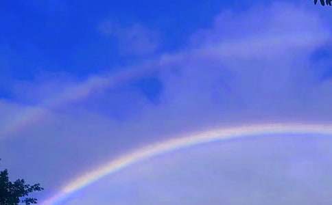 ���ۺ�Ĳʺ�����350��