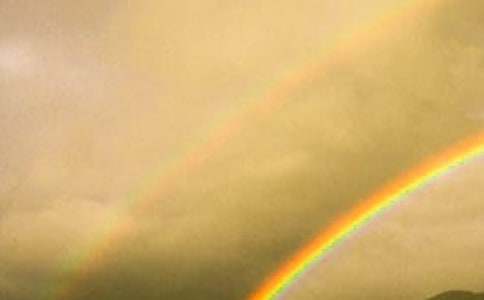 ����֮���ǲʺ�